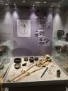 Paleontologie v Západočeském muzeu