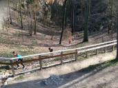 Běh do vrchu ve Stříbře