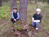 I. a II. třída v lese