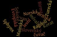 6a7inf_wordle15.jpg